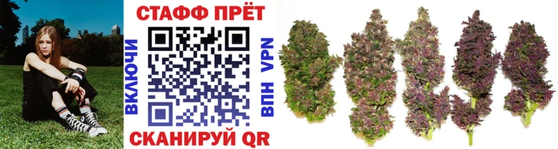 Сколько стоит Гай Alpha PVP  Меф мяу мяу  МАРИХУАНА 
