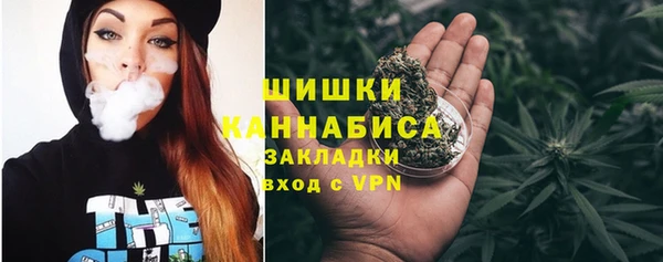 шишки Бугульма