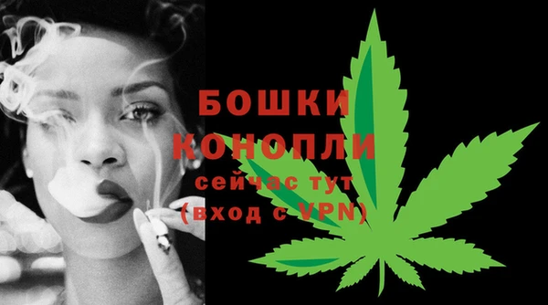 шишки Бугульма