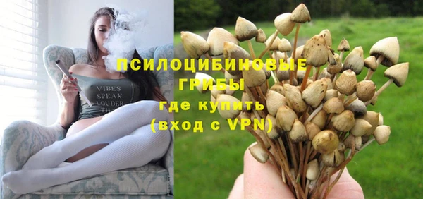 тгк Верея