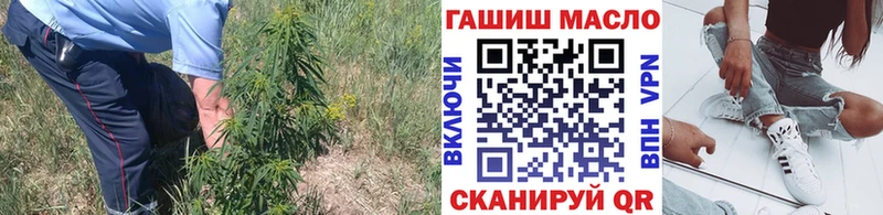 ОМГ ОМГ сайт  Гай  Дистиллят ТГК жижа 