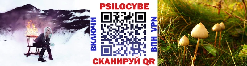 darknet формула  Гай  Галлюциногенные грибы прущие грибы 